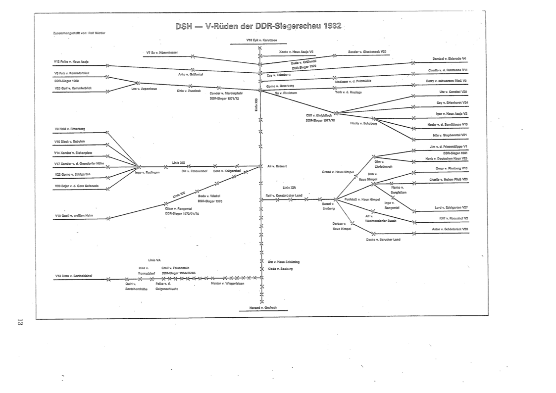 DDR Zuchtrüden 1982