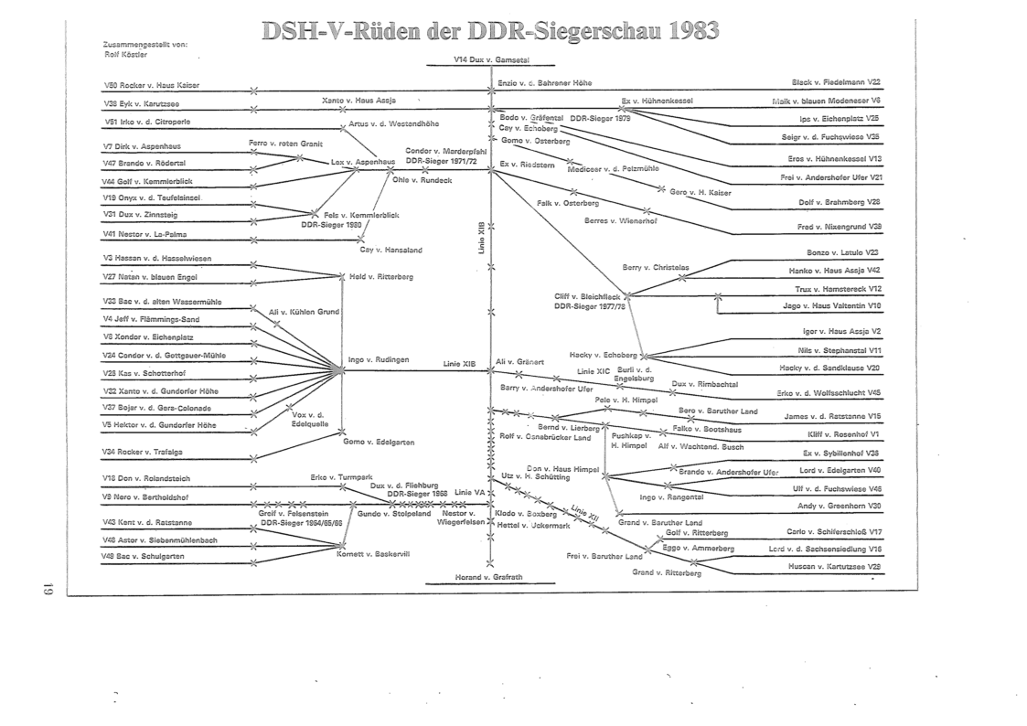 DDR Zuchtrüden 1983